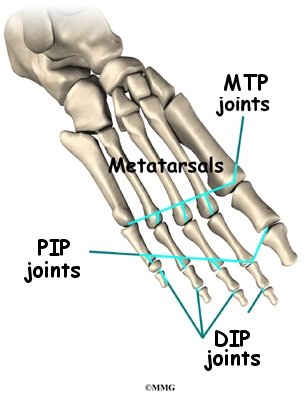 Joint Toes