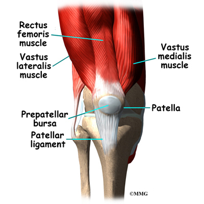 bursa knee