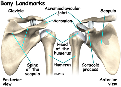 Glenohumeral joint steroid injection