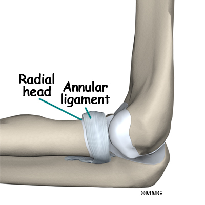 head of radius annular ligament