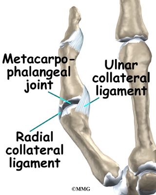 collateral ligament hand