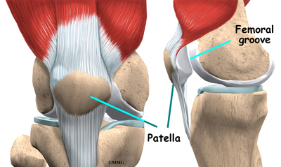 what is a patella