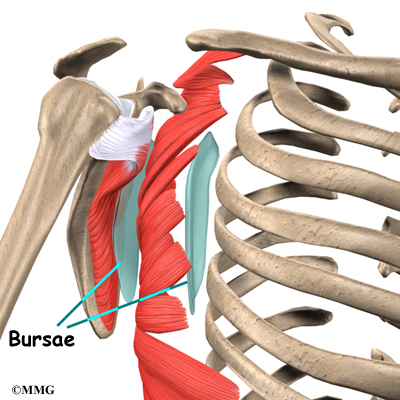 Snapping Scapula Syndrome