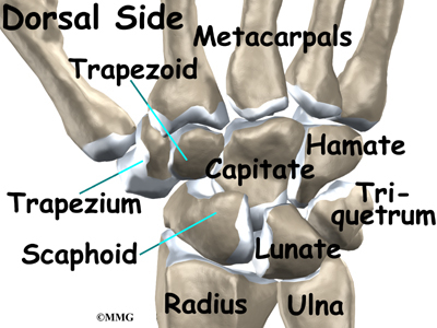 Wrist Ligament Injuries | eOrthopod.com